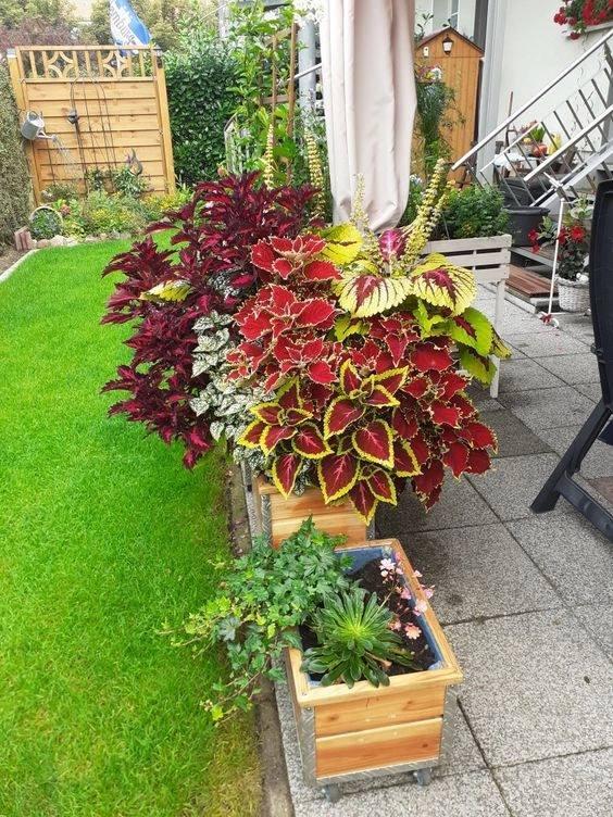 Красивые идеи для украшения участка 🌸