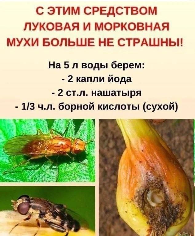 rumelo.ru - Рукоделие: Сделай сам.