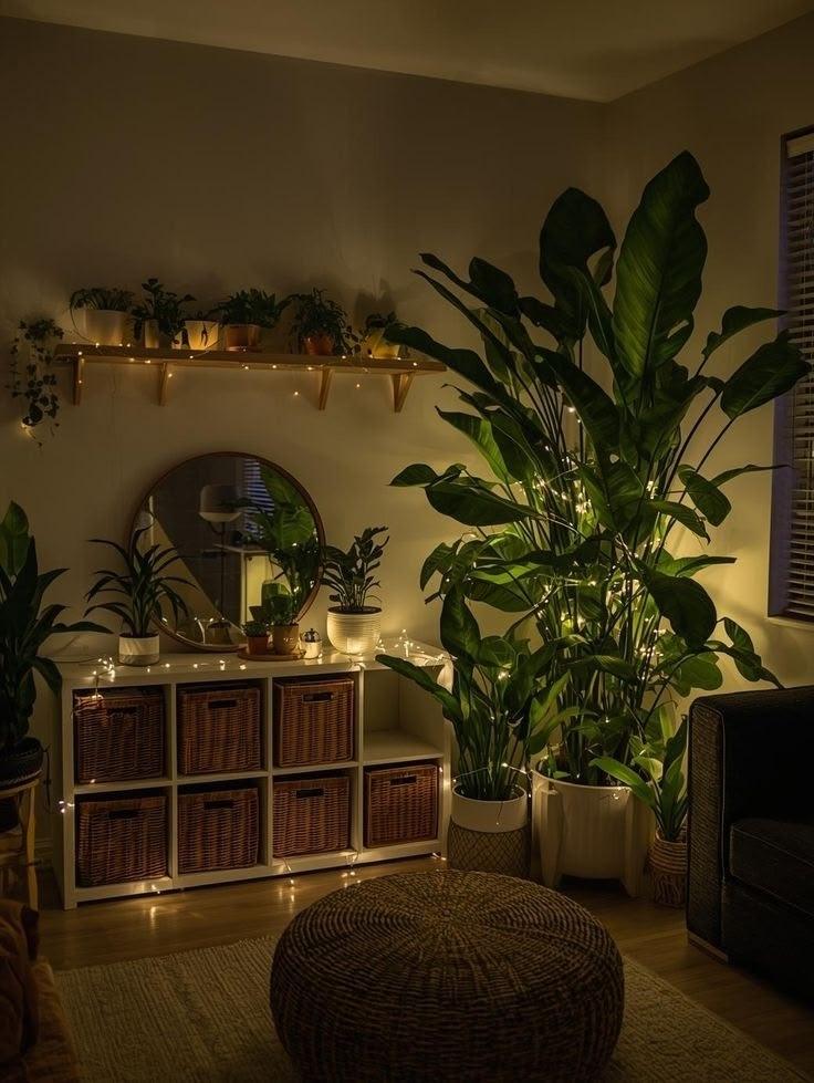 Без комментария