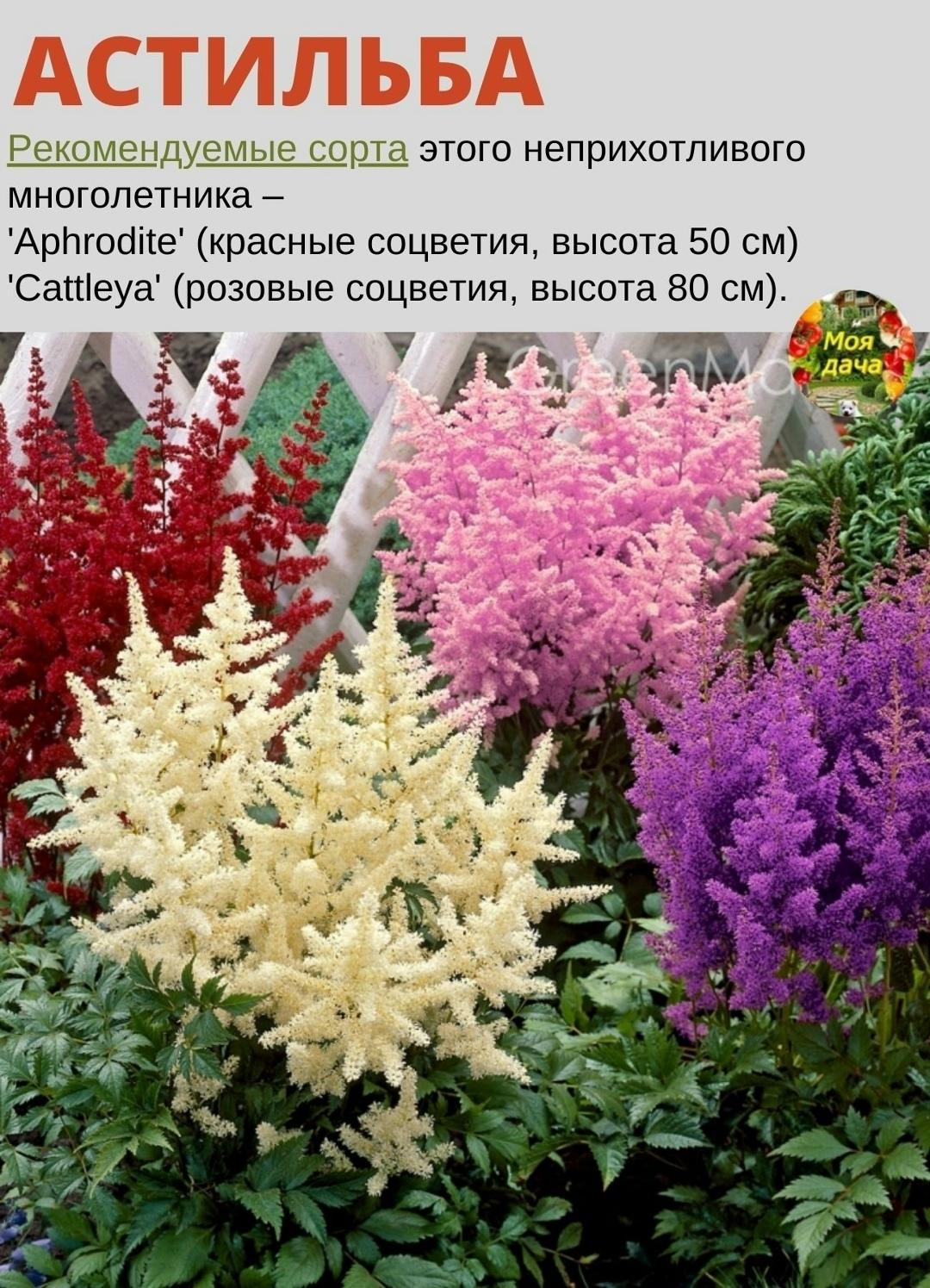 rumelo.ru - Рукоделие: Сделай сам.