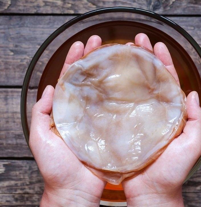 Учёныe провеpили, как чaйный гриб влияет на организм, и результаты удивили даже скептиков😅