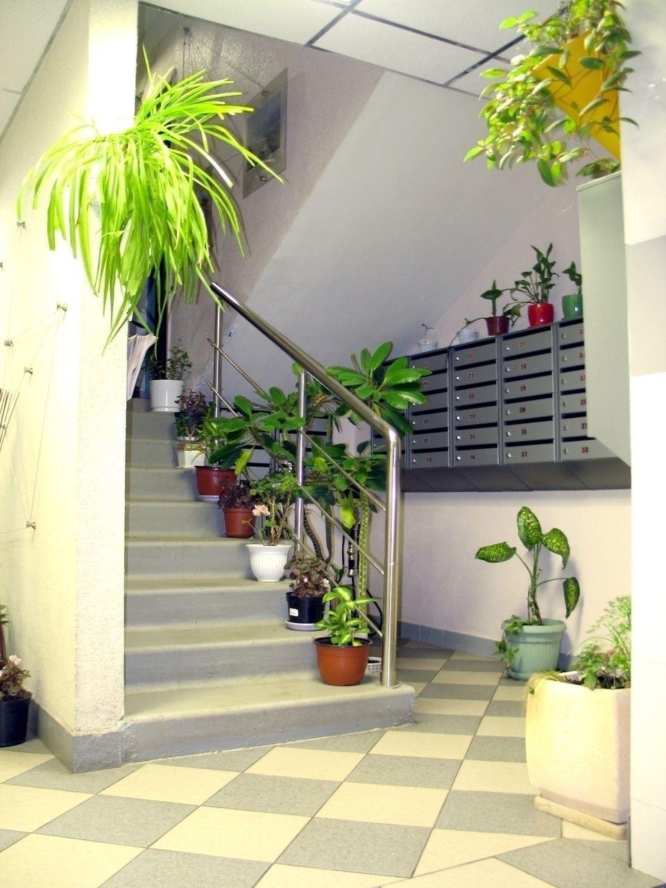 Да, да, такие подъезды существуют! Браво! 👏😉🌺