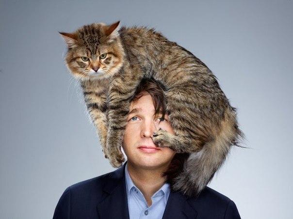 ПОЧЕМУ КОШКА ЛОЖИТСЯ НА БОЛЬНОЕ МЕСТО ЧЕЛОВЕКА 😷👍