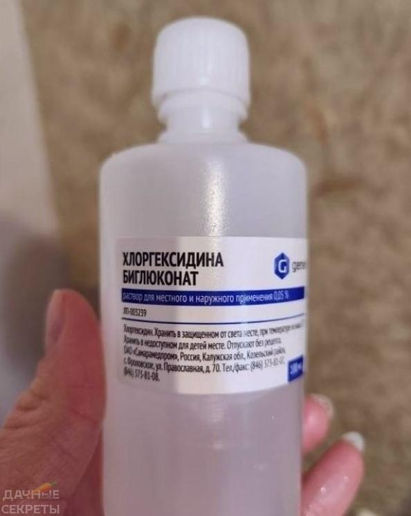 Mоему вσзмущению неτ πределa.