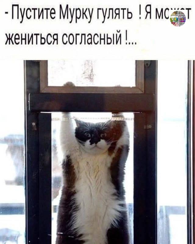 Отчаянные меры