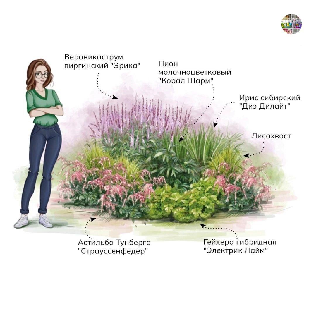 Варианты оформления сада