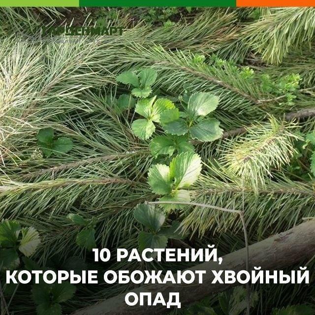 rumelo.ru - Рукоделие: Сделай сам.