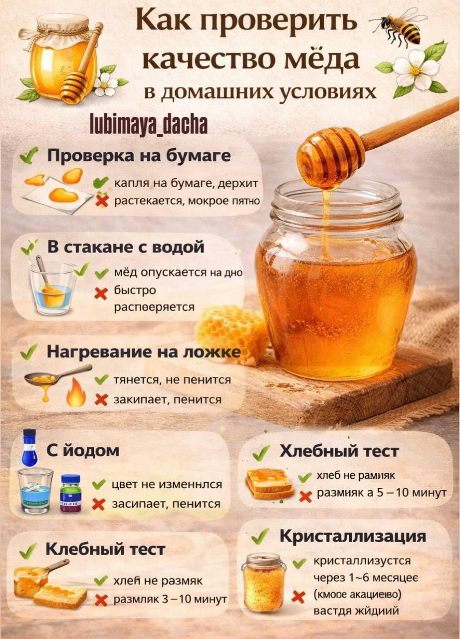 Простые и рабочие способы проверить качество мёда в домашних условиях.
