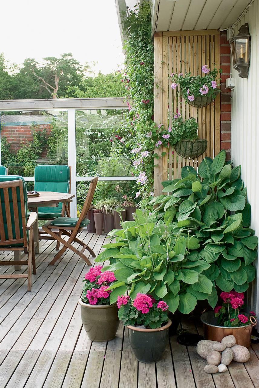 Идея как можно оформить небольшой дворик💚