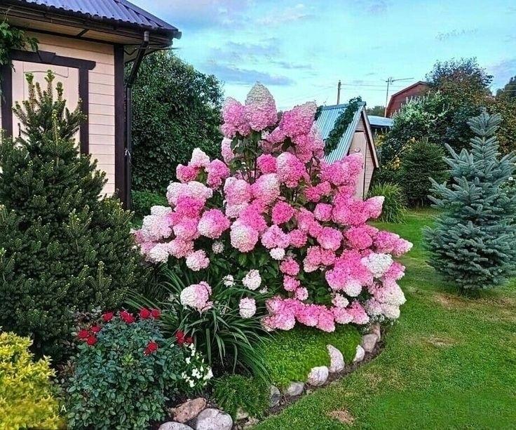 Шикарные уголки сада&#10024;