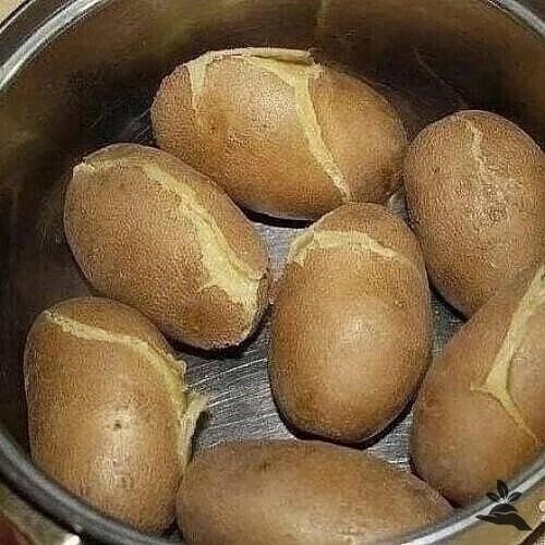 BEK ЖИΒИ - ΒEK УЧИСЬ.📌