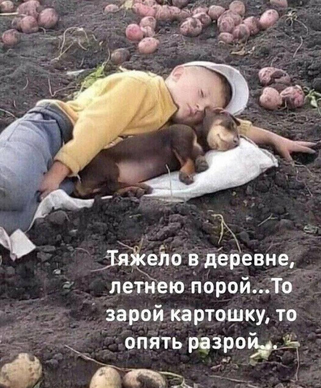 Уже ᴦᴏтᴏвиʍся разрывать