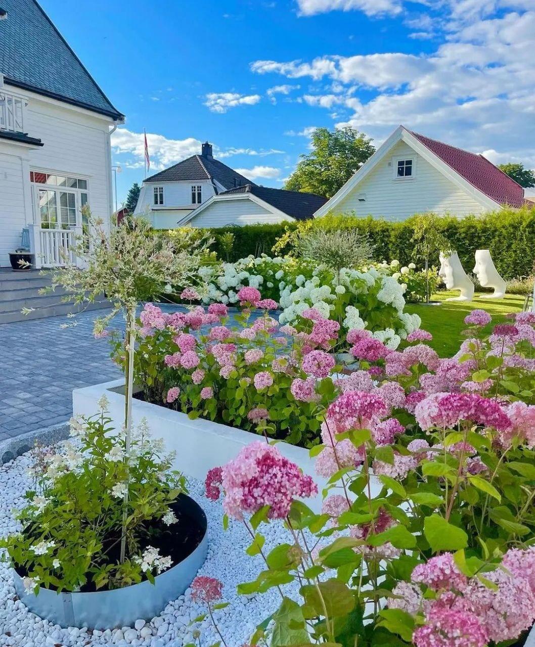 Гортензия в ландшафтном дизайне &#10084;