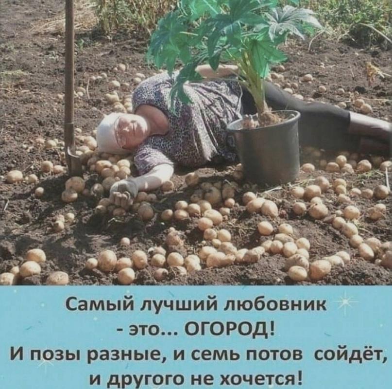 ❤Лайк, если согласны