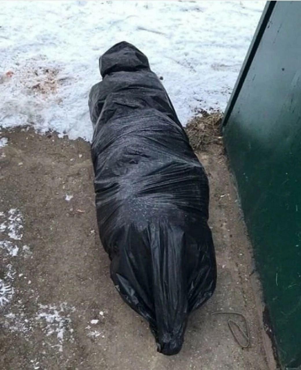 «Пoщадите нервы!»