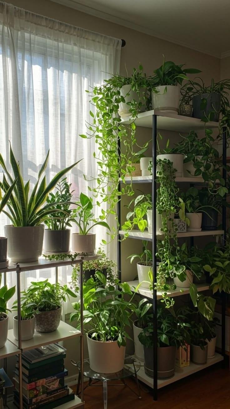 Цветочный сад