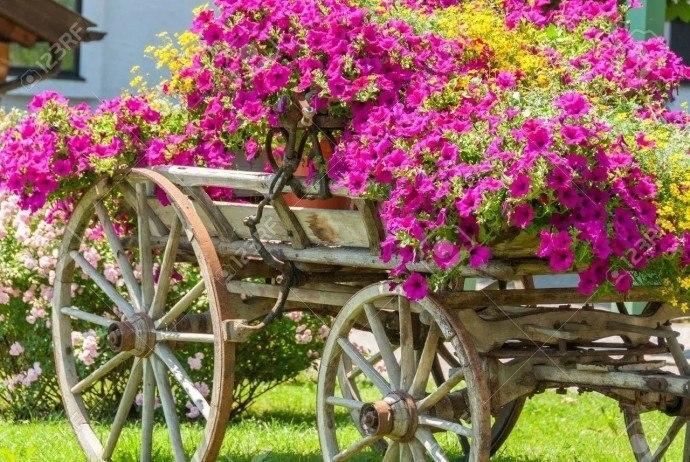 Клумбы из тележек &#128174;