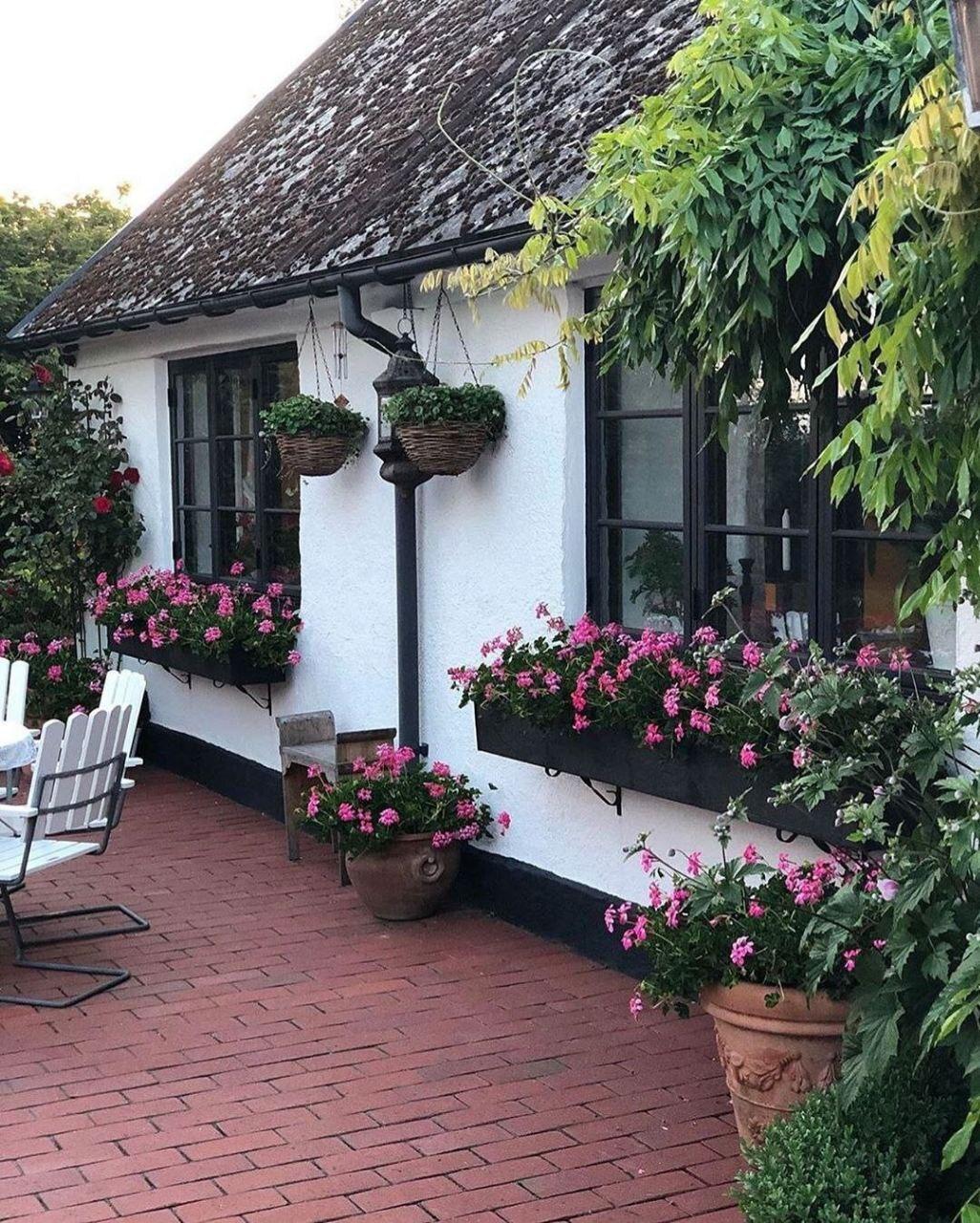 Эффектный вариант оживить скучный фасад дома - контейнерное озеленение 👍