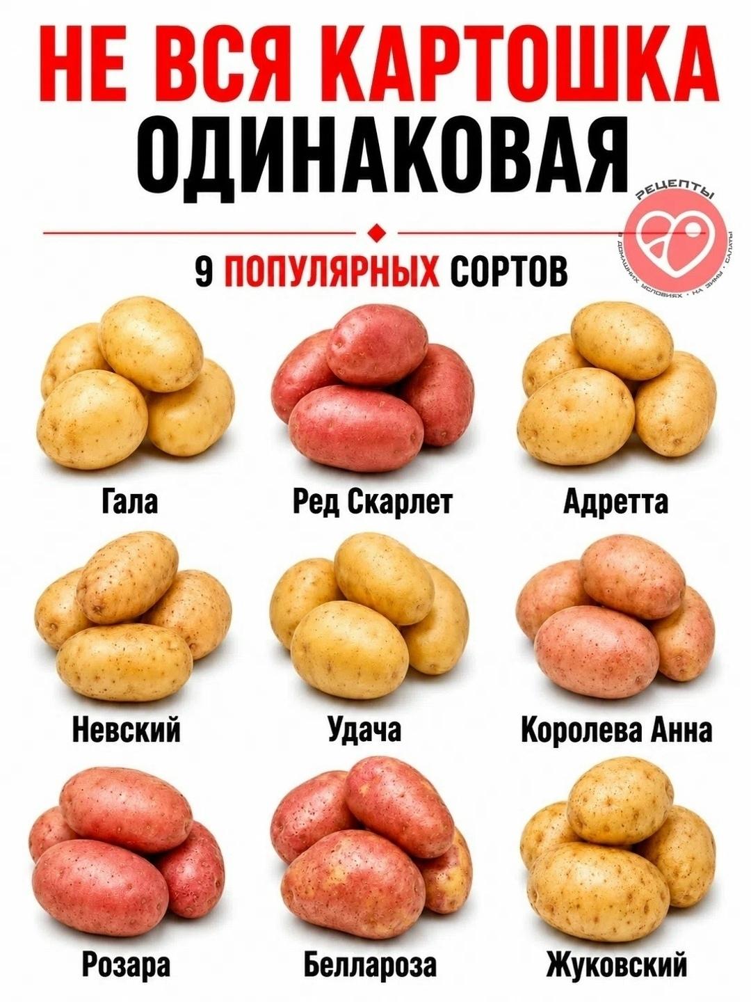 Даже привычные продукты могут заметно отличаться по плотности, сладости, сочности и текстуре. Поэтому один и тот же способ приготовления для разных сортов даёт совершенно разный результат.