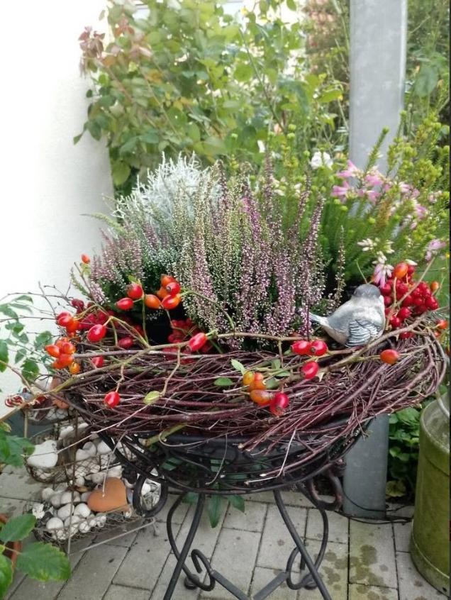 Осенние композиции: яркие акценты для декора сада