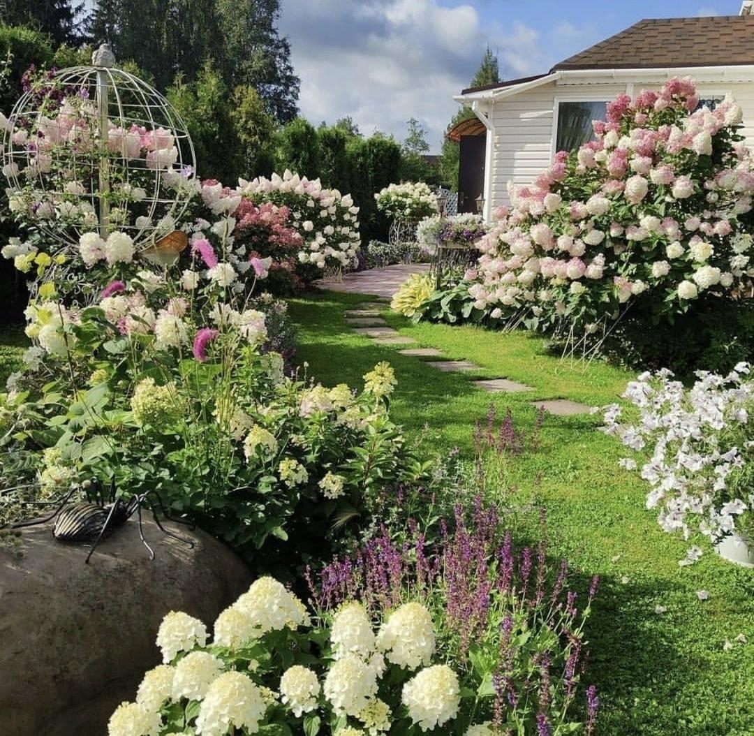 Садовые дорожки в окружении красивых цветочных композиций😍