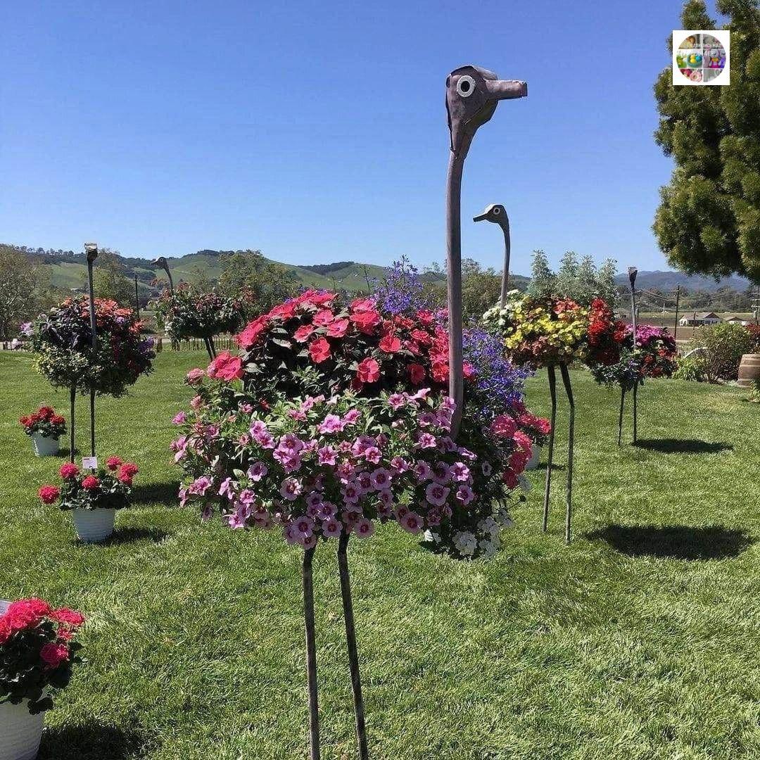 Цветочные страусы - оригинальные идеи для оформления сада