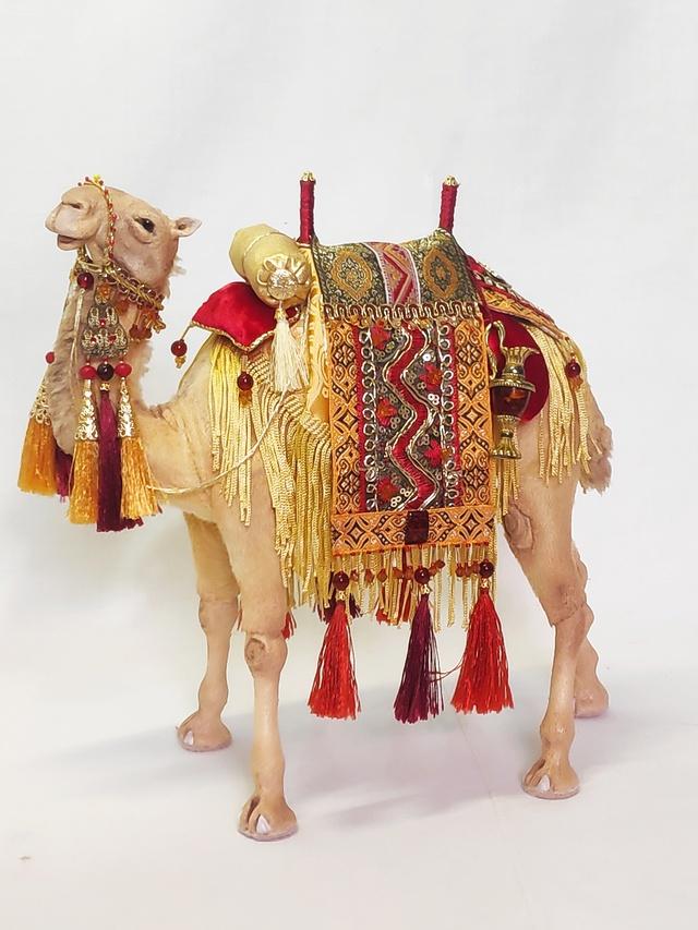 Корабль пустыни&#10084;&#128042;