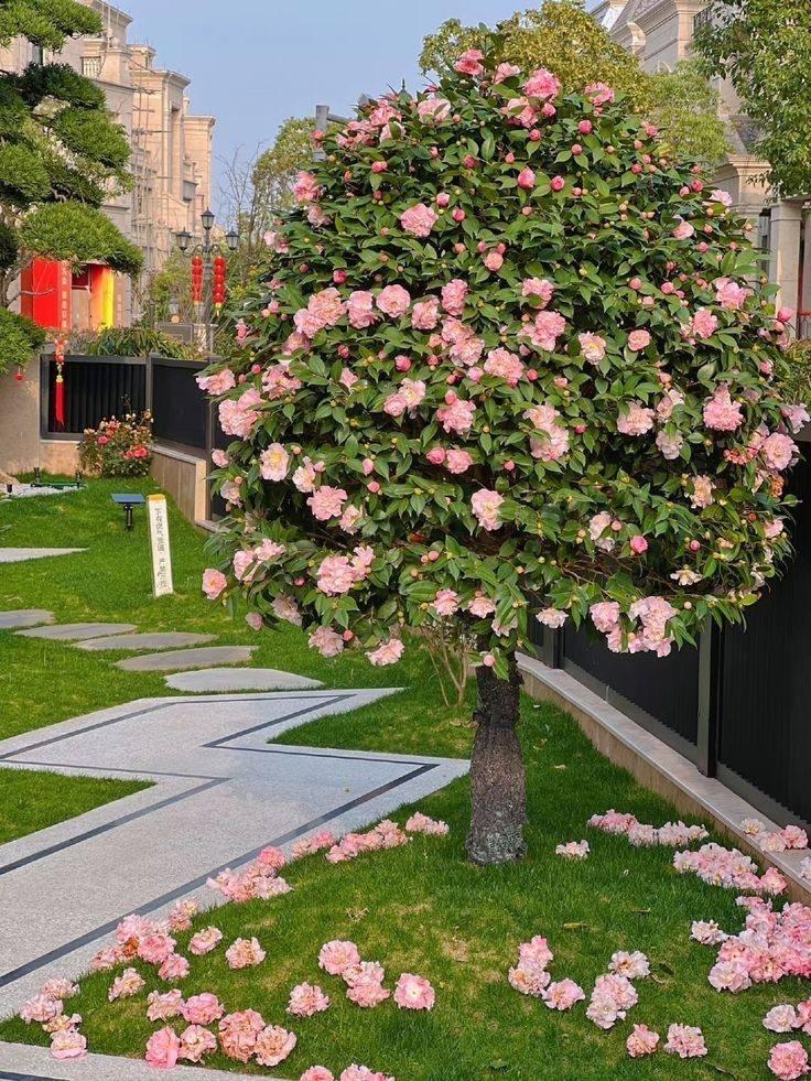 Великолепные дачные идеи