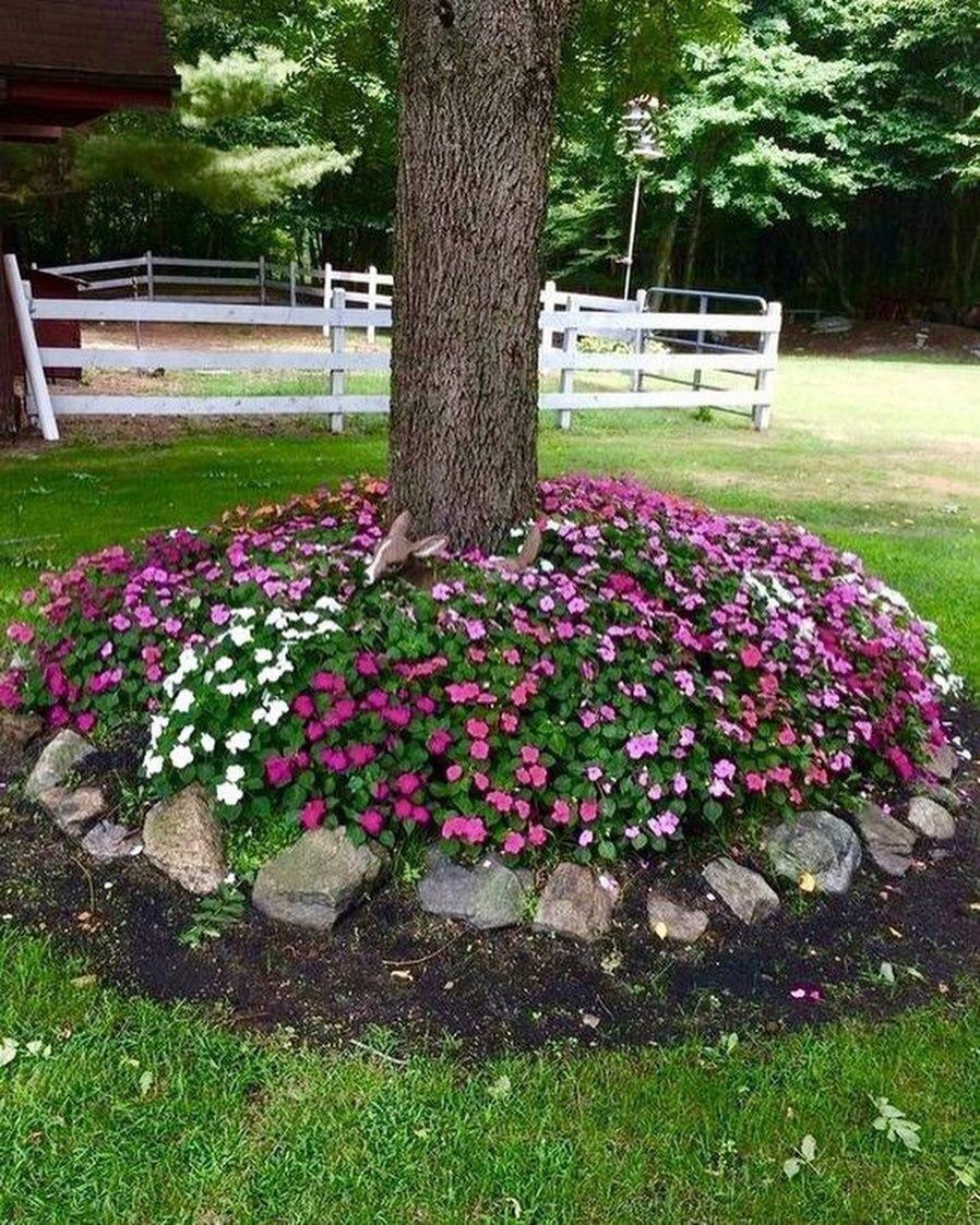 Мини-клумбы: идеи для вдохновения и повторения 🌺