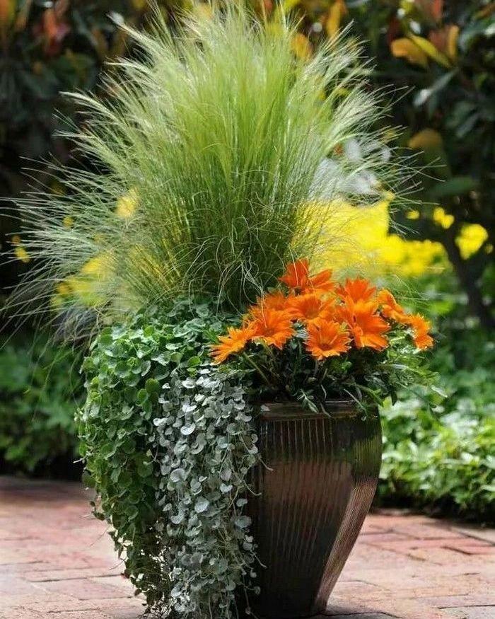 Высаживаем декоративные травы в саду и на террасе