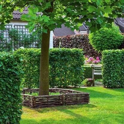 Варианты оформления приствольного круга