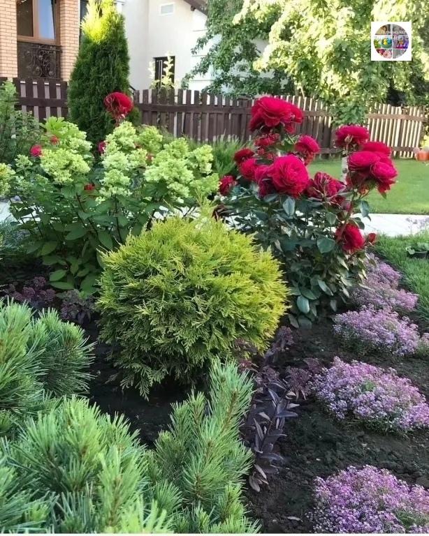 Цветущие уголки сада