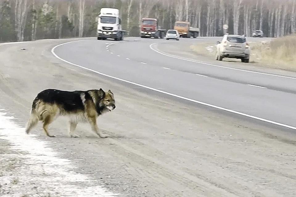 rumelo.ru - Рукоделие: Сделай сам.