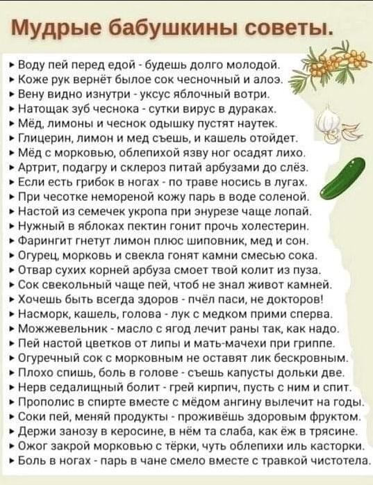 Бабушка плохого не посоветует