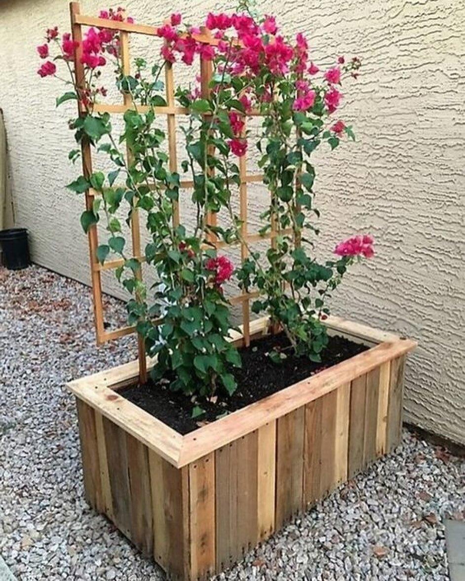 Как украсить садовый участок &#127800;