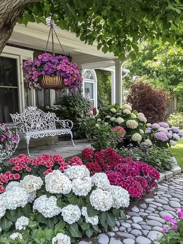 Прекрасная клумба с гортензиями у входа