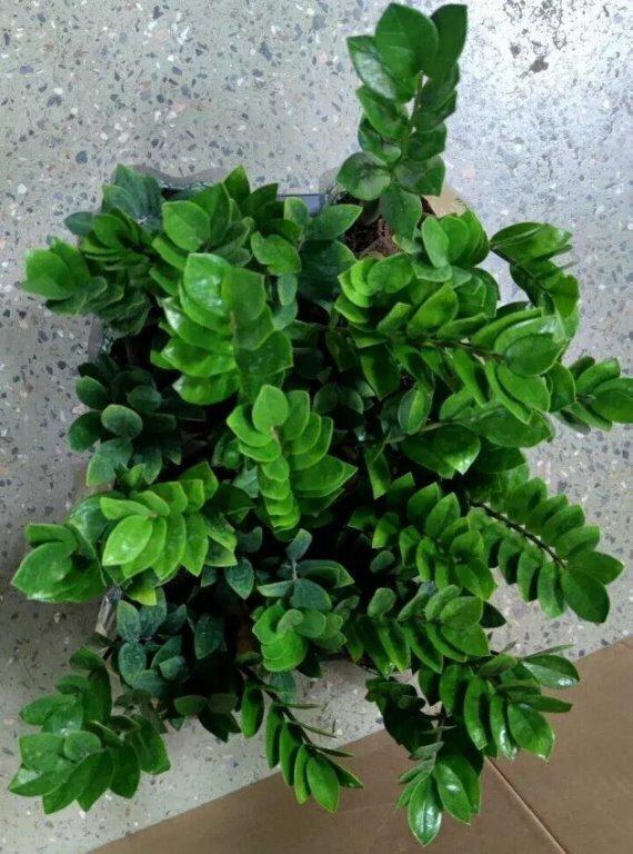 Почему так нельзя делать?