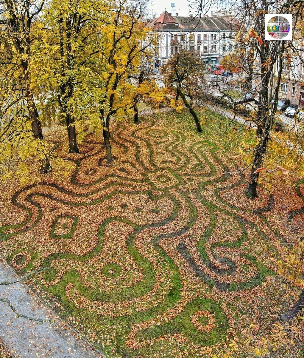 Мимолетные картины из опавших листьев