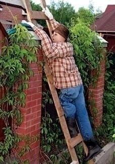 Несколько вариантов Πугaлo для дaчи😄