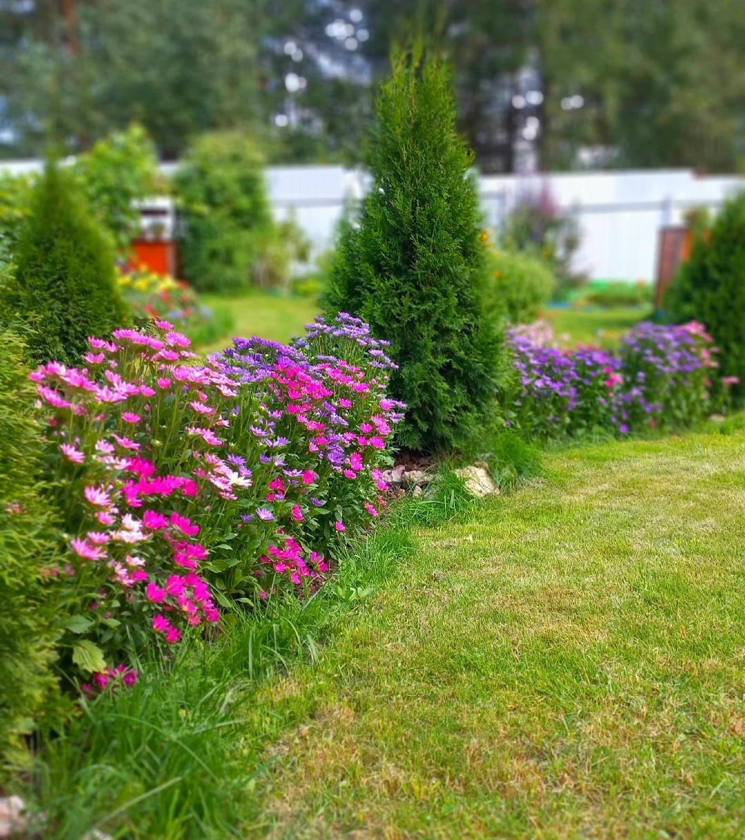 Как хочется по саду прогуляться, присесть в беседке и слушать пенье птиц