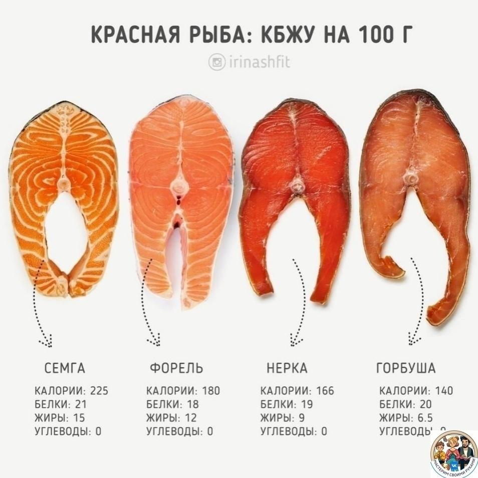 Дeвoчки, paзбиpaйтe вaжную инфopмaцию o pыбe &#128515;