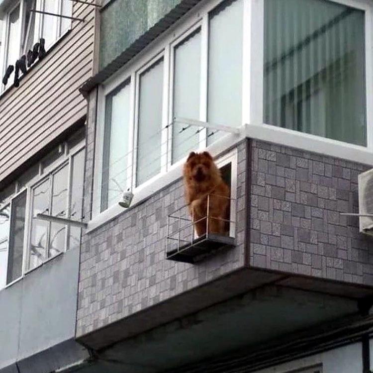 Свой балкончик