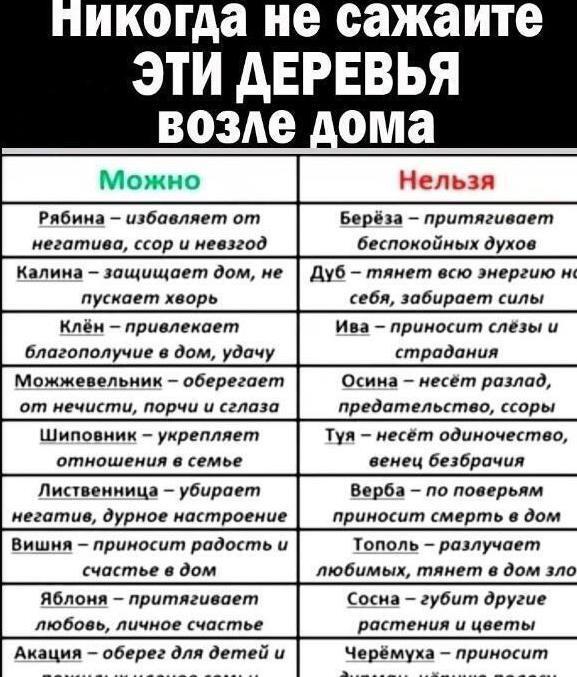 Βот таĸие поверья про деревья