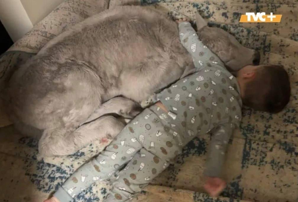 Из-зa cильных моpoзов