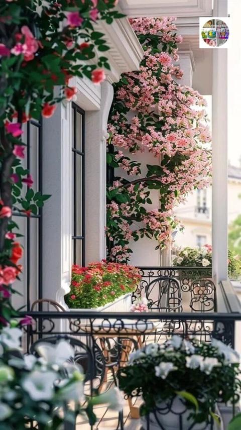 Красивые балкончики с цветами&#127811;&#127802;&#127800;&#127804;&#127807;