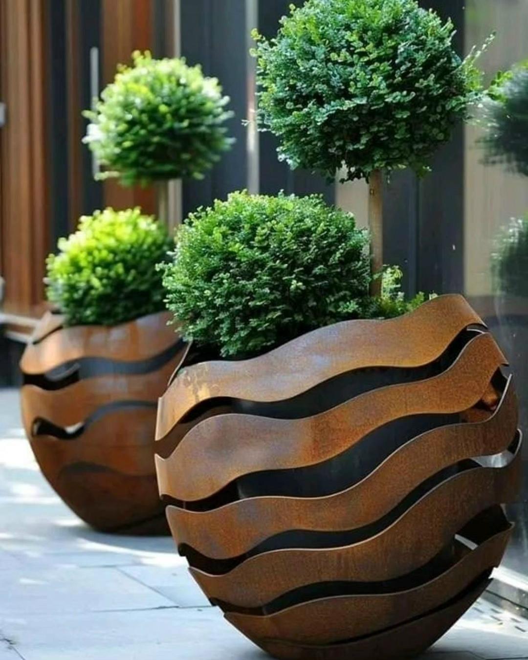 Контейнерный сад &#127795;