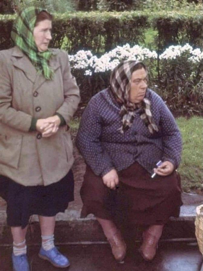 На фотографии 1959 года запечатлены две женщины из колхоза, которые ждут автобус после похода за грибами. Однако на деле это не простые колхозницы, а выдающиеся советские физики.