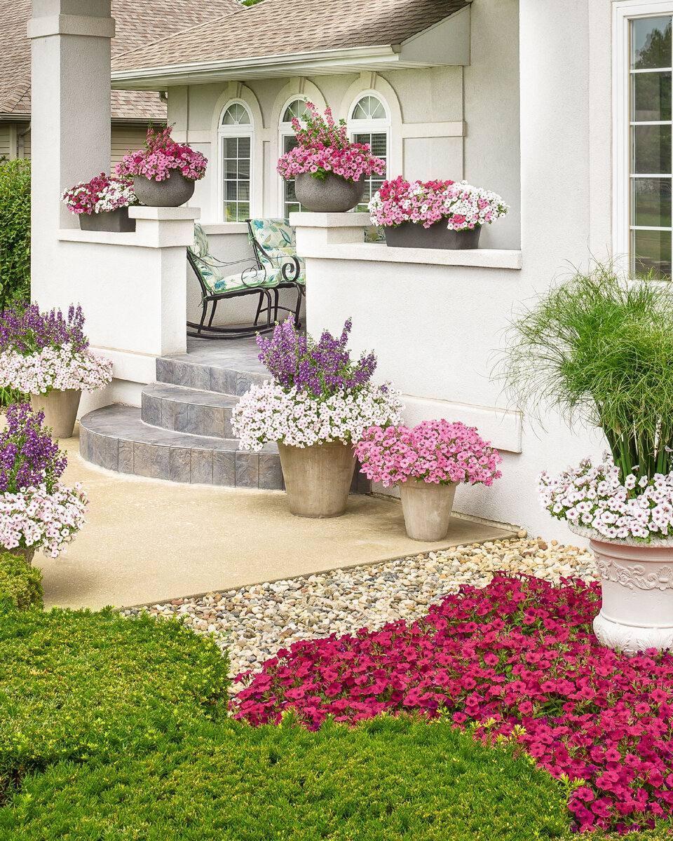 Прекрасное оформление крыльца и входной зоны в дом