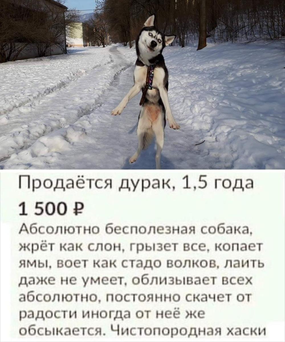 Одной рукой объявление писал, другой – слезы вытирал