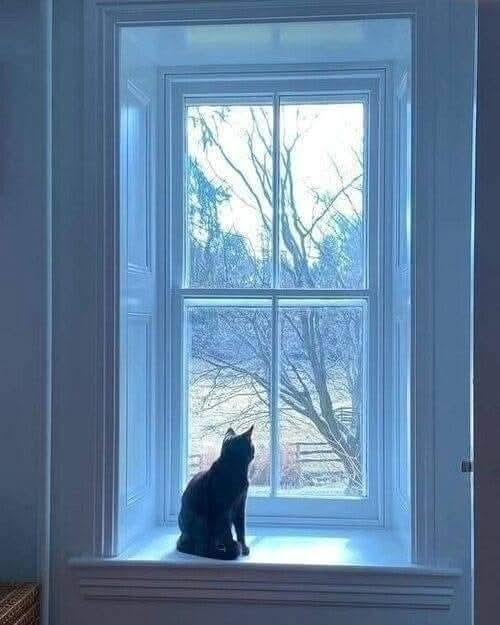 - Бабушка, ты только не переживай